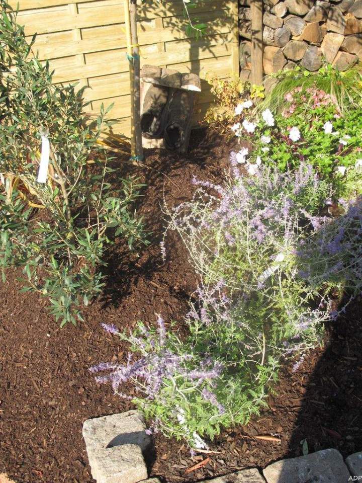 Jardin paysager Normandie