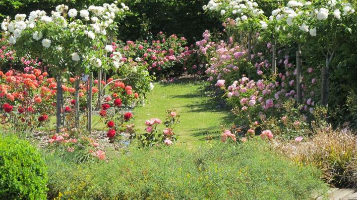 Paysagiste Incarville