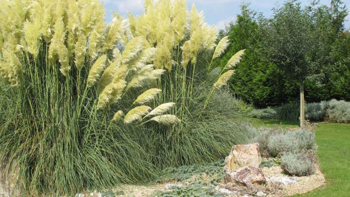 Paysagiste Incarville