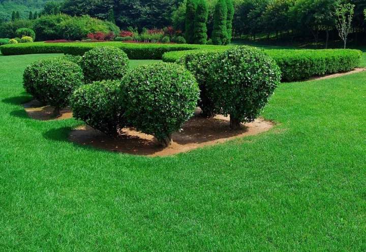 Entretien de jardin Louviers
